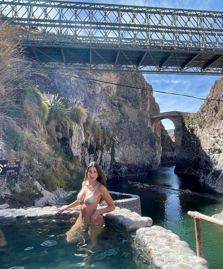 Bribaebee model high quality pic