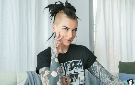 Sierhaus exclusive star gallery