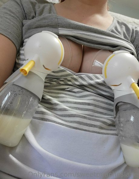 sweetpeacheslane star perfect img