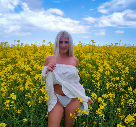 anie b free star sex pics