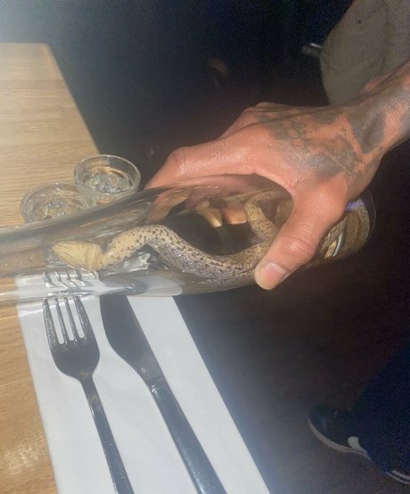 Linea Sindt nudes pornstar images