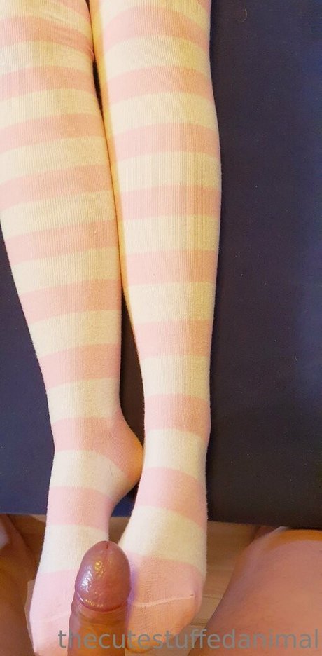 thecutestuffedanimal top pornstar galleries