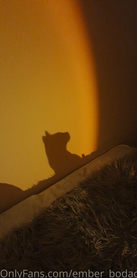 ember bodacious perfect pornstar images