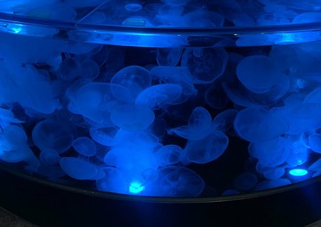 bunnycocoa beautiful actress pictures