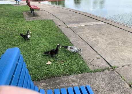 bunnycocoa sex actress galleries