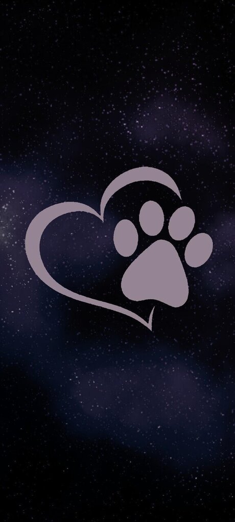 Queenwolf 12 model high quality archive