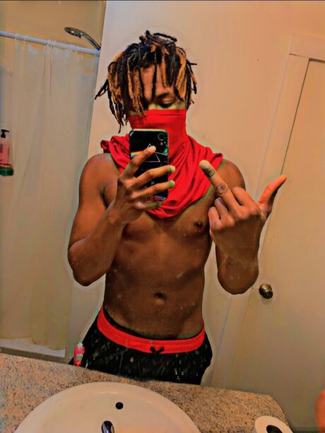 _Dae model perfect galleries