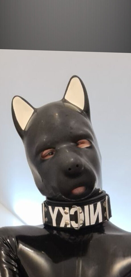 PupNicky model erotic pic