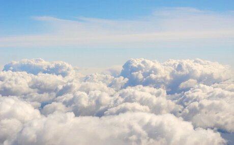 Stella Francis TS_ pornographic model img