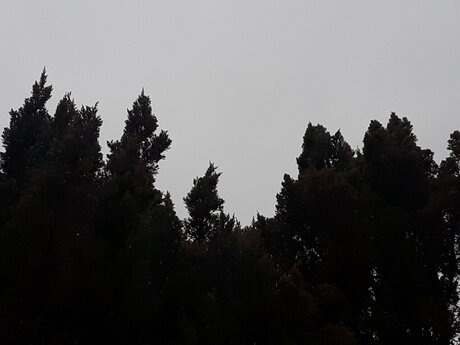 ChemicalXBoy model sex image