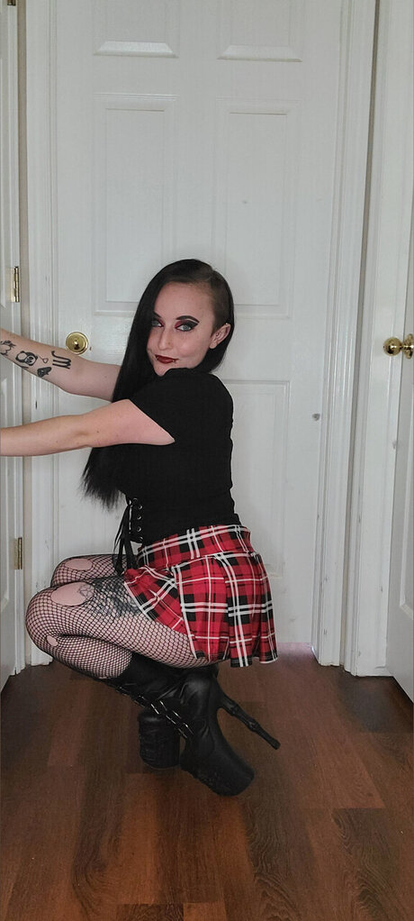 Bustydwarf model galleries