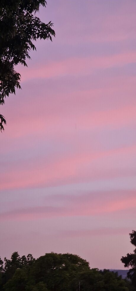 Holla Nola hot star photo