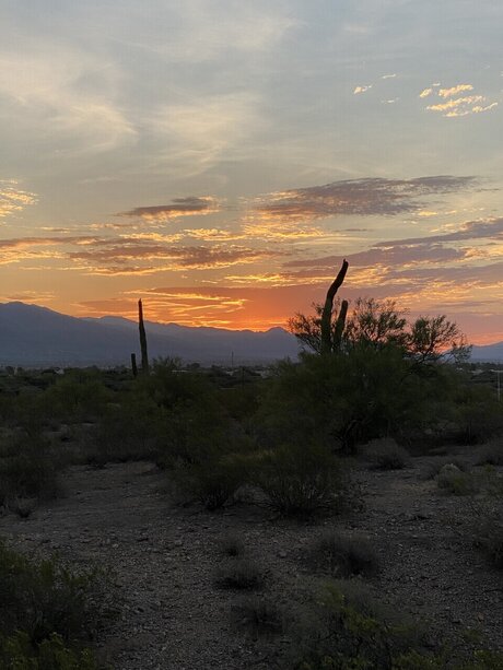 russian pussy onlyfans sexy naked picture