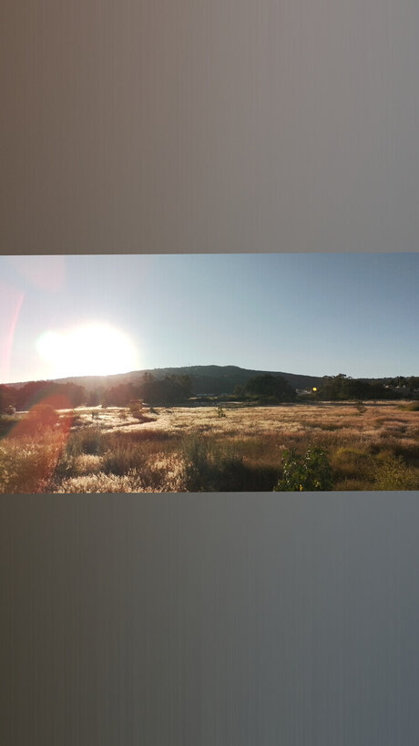 Jos Buenrostro porn model pics