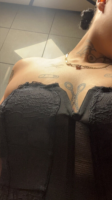 Halo_ free star pictures