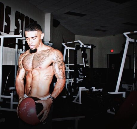 330 Bobby free model image