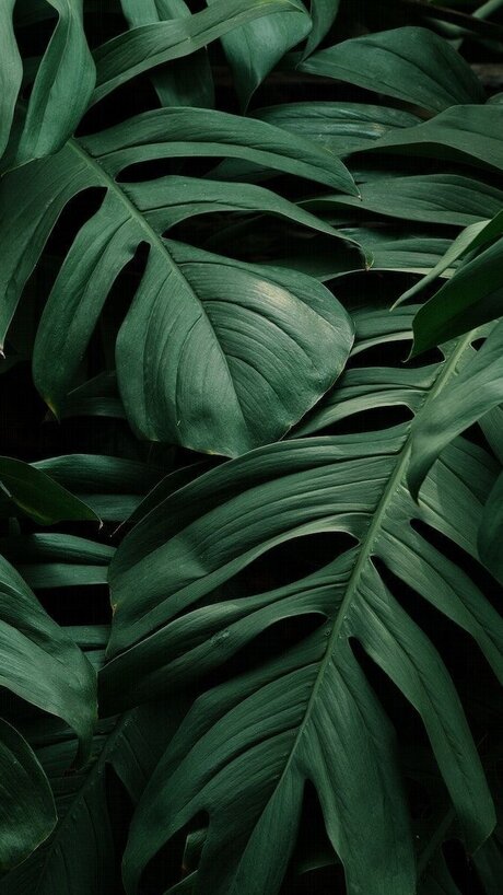 Britney_ exclusive star img