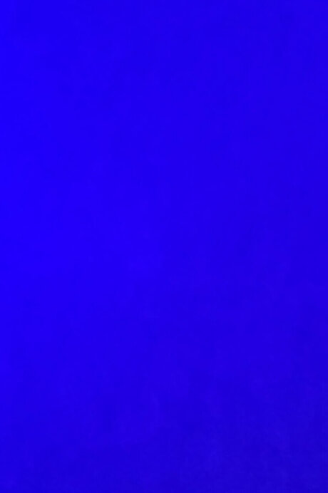 Shy girl amp lt3 pornstar adult images