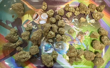 Dat Guy Remy Monty perfect actress images