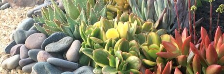 Nova Grace hot model galleries