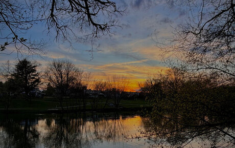 Natalie Presley model gallery