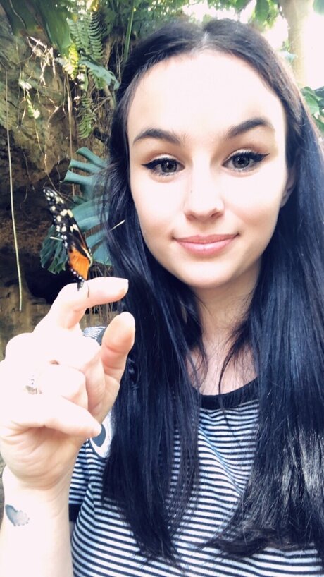 Bebevivika star art img