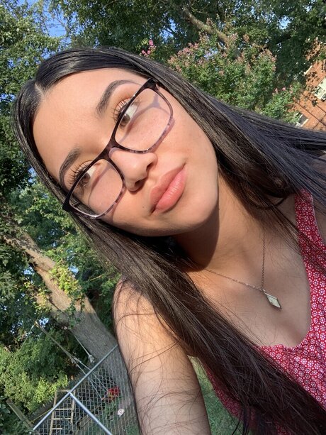 Dazequasar xxx pornstar archive