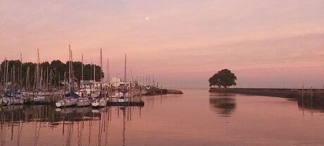 Camila Berns star nude pic