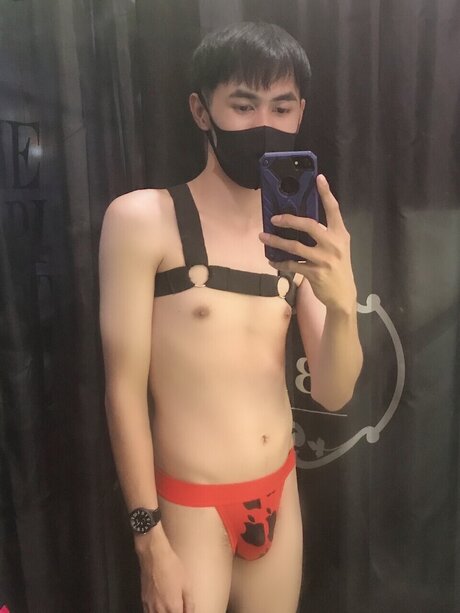 Niris high quality star photos