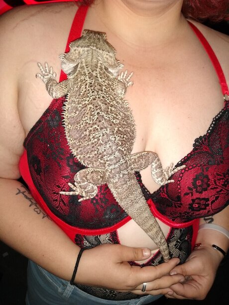 Bad bitches naked pornstar pic