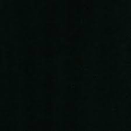 Happylizard pornstar xxx galleries