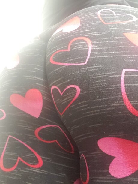 Chrysanthemum_ adult model images