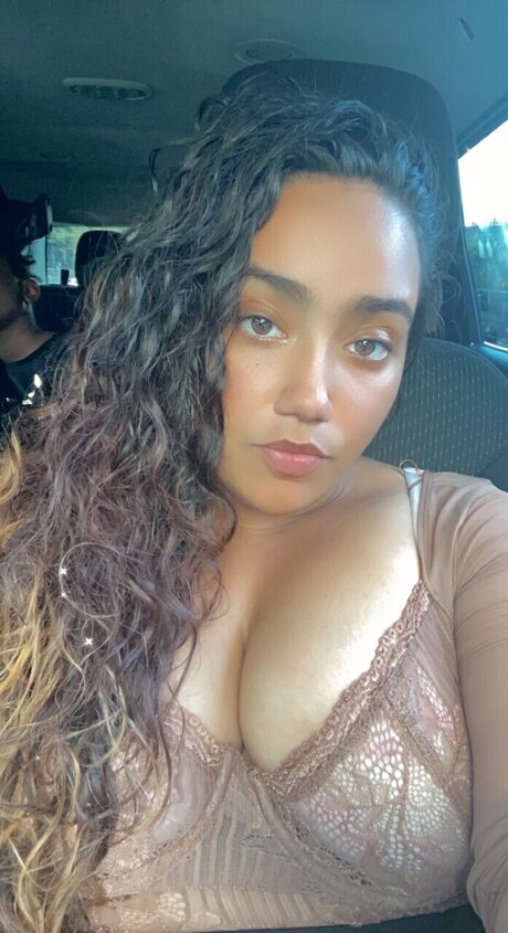 Playful bandit art star images