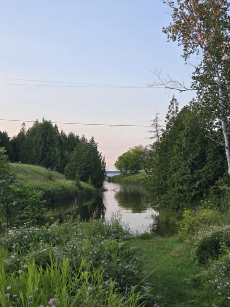 RocketCam_ art actress archive