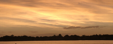 Charli Lane xxx pornstar image