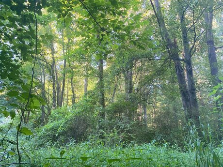 Tattoobabie08 FREE erotic pornstar photo