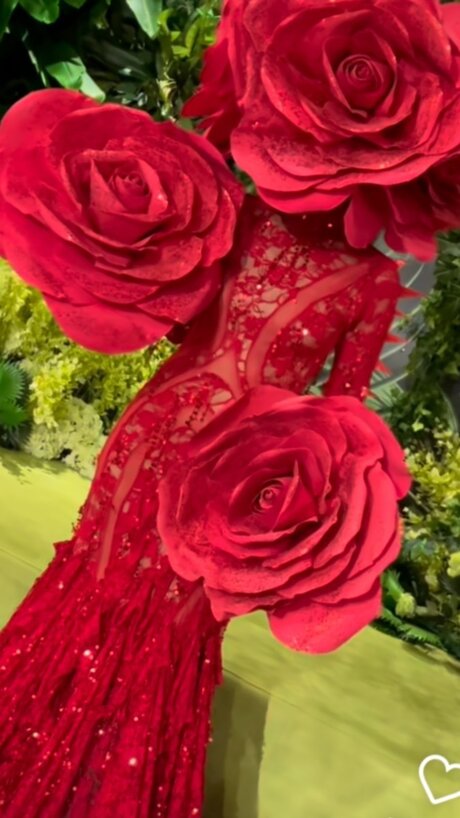 Honor model hd images