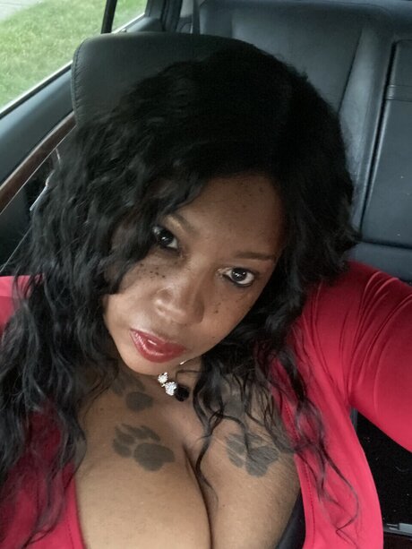 Pork chops star high quality picture