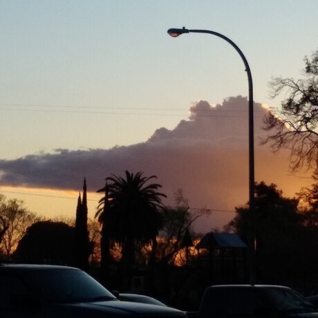 Jerry Morrison high quality actress images