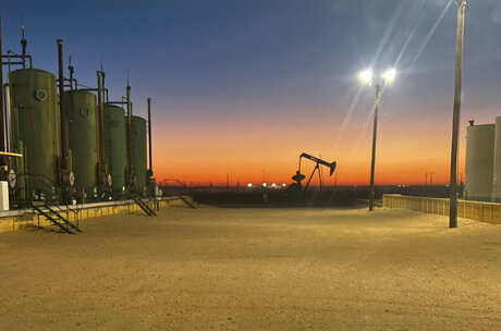 Silver Fox sexy model image