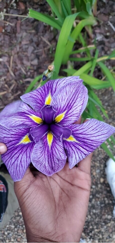 no ppv trans onlyfans art porn photo