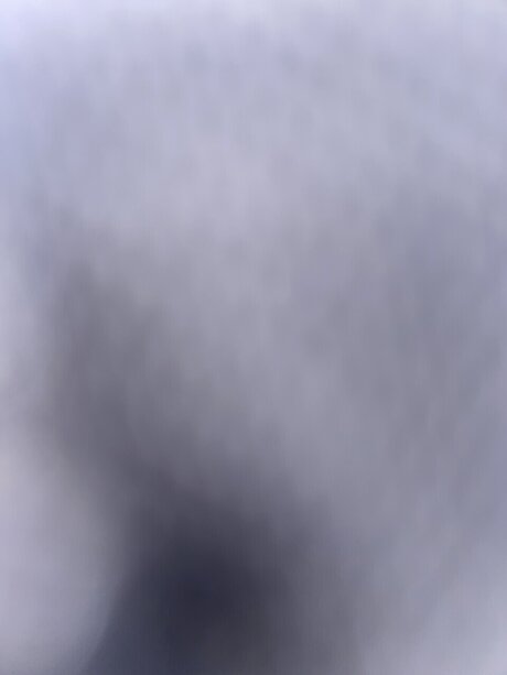 Slanginshit actress images