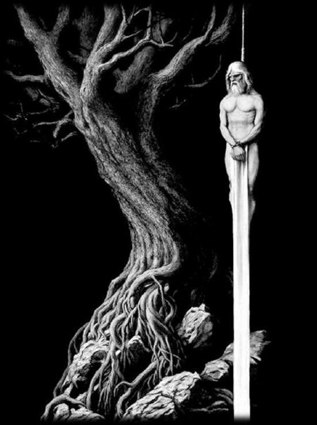 V1K1NG erotic star archive