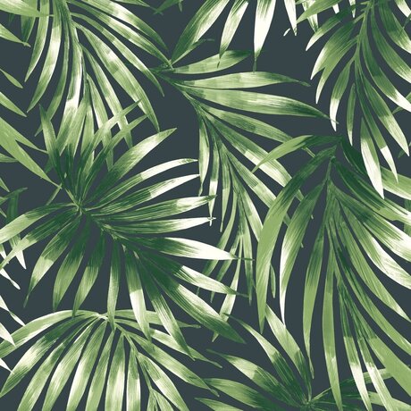 _FOOT GODDESS_ star nude img