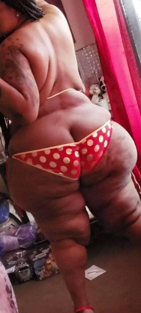 Munster beautiful star galleries