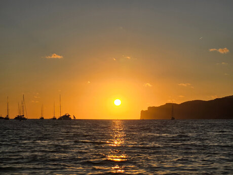 Cruisinkat art pornstar pic