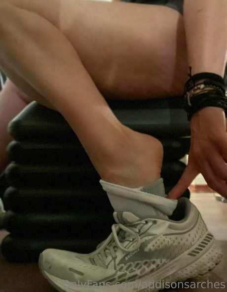 addisonsarches star high quality galleries