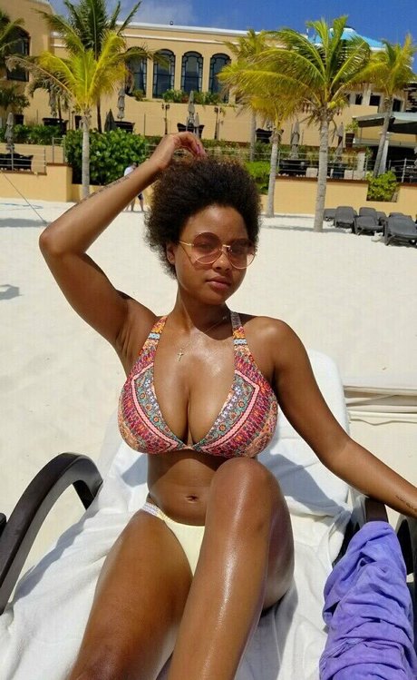 Bush Baby Profile pic