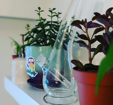 wetrosie Profile pic