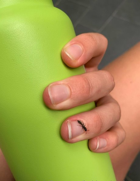 bakinggiantbuns model xxx images